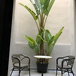 Hotel Torrent